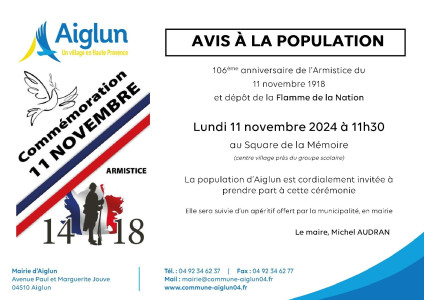 Affiche 11 Novembre