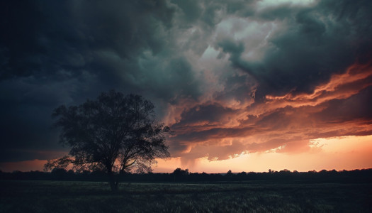 Silhouette tree against dramatic sky at dusk generated by artificial intelligence